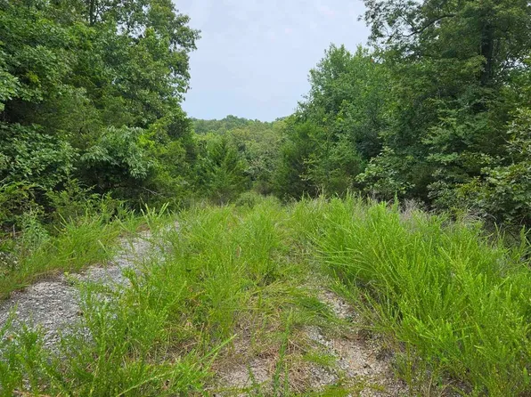 102 N Mother Lode Dr, Horseshoe Bend, AR 72512