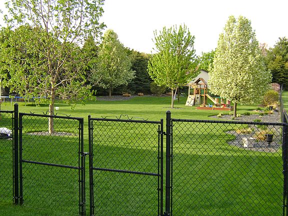 Fully fenced yard 
