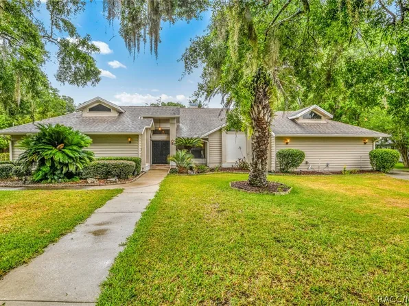 159 S Highview Ave, Lecanto, FL 34461