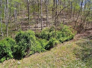 2 Conleys Creek Rd, Whittier, NC 28789