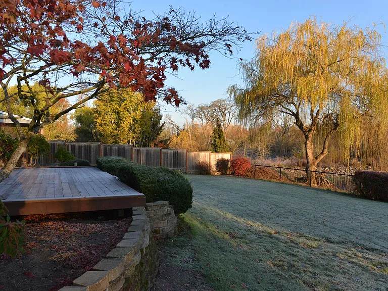 Backyard and deck