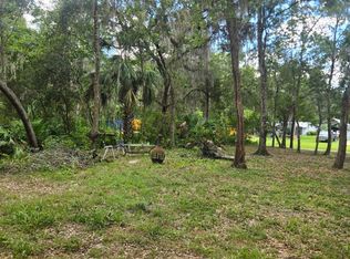 352 1st St, Osteen, FL 32764