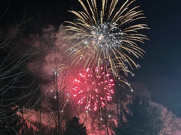 900 E Hopkins Ave APT 2, Aspen, CO 81611