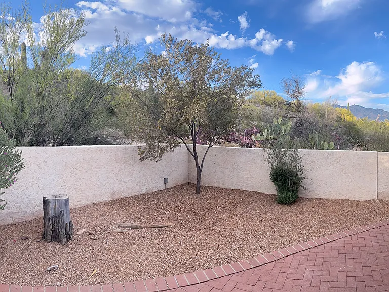 back yard view of Catalina Mountains