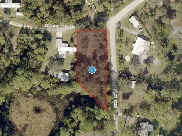 Morning View Dr Lot 5, Paisley, FL 32767