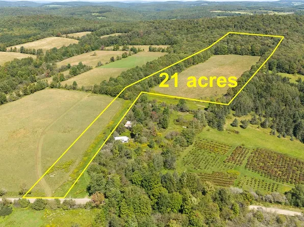 11 Warren Rd, Delhi, NY 13753