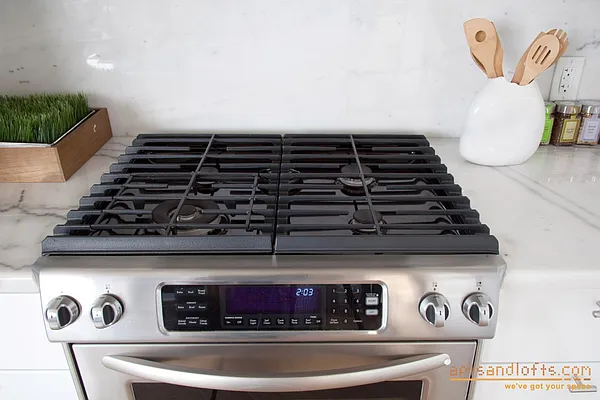 Rented by aptsandlofts.com | media 80