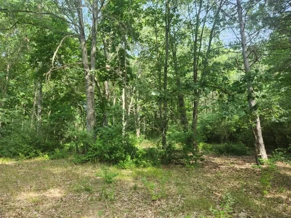 7354 S Riverbend Rd Lot 52, Branch, MI 49402