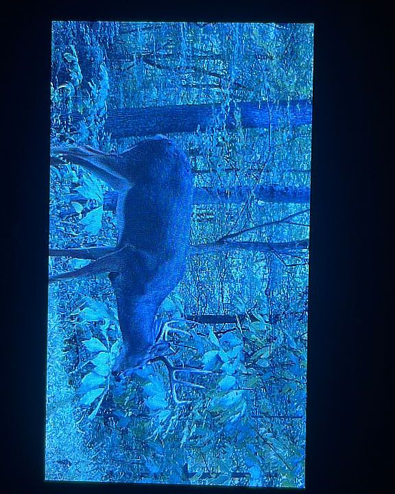 2nd image of Tolliver Rd