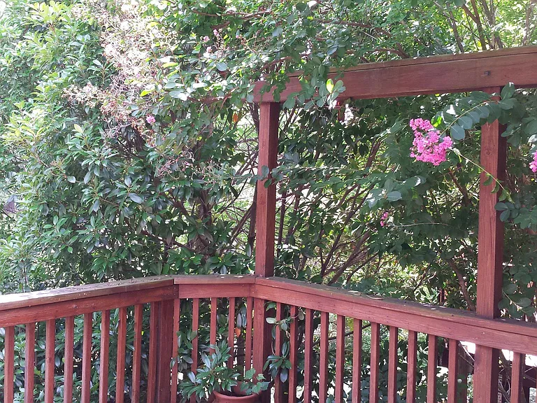 deck from kitchen to tree line