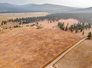 828 Swanson Ln, Potomac, MT 59823