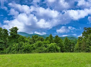 Tbd Hale Ridge Rd, Scaly Mountain, NC 28775