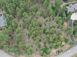 539 Monarch Crest Trl, Durango, CO 81301