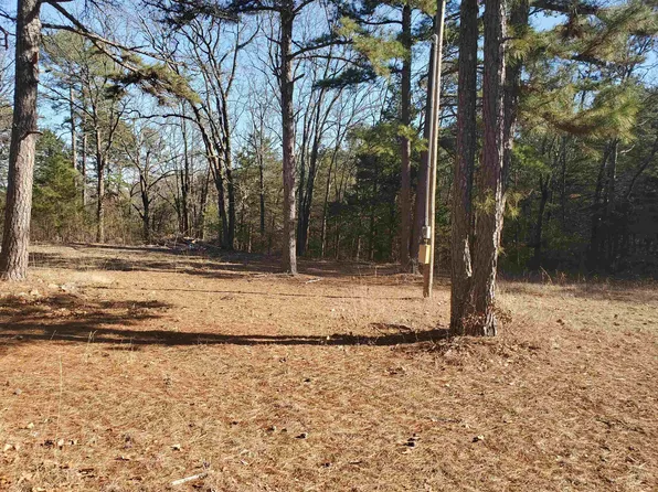 104 Silver Fox Ct, Romance, AR 72136