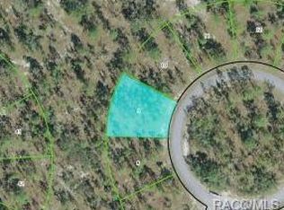 18 Pagoda Dr, Homosassa, FL 34446