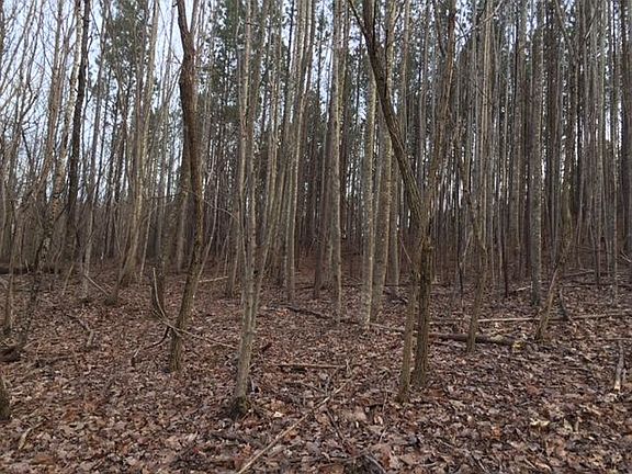 4th image of 16 Cross Creek Trl #16