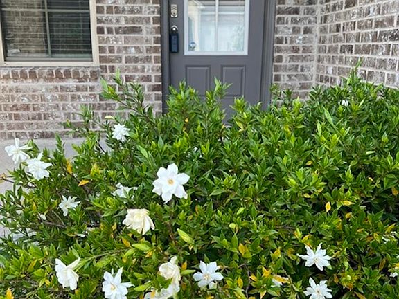 2nd image of 6708 Tiger Pointe Dr