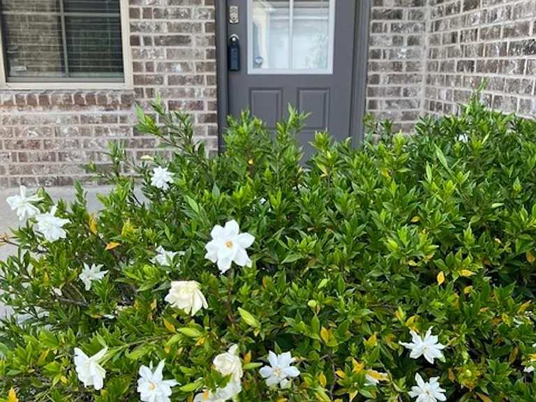 6708 Tiger Pointe Dr — Photo 2