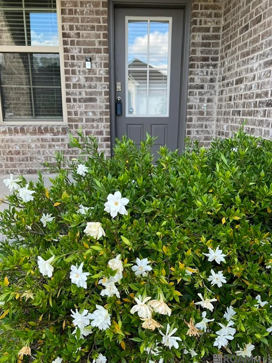 Building Photo - 6708 Tiger Pointe Dr