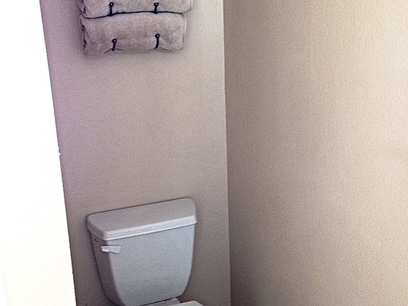 Master toilet