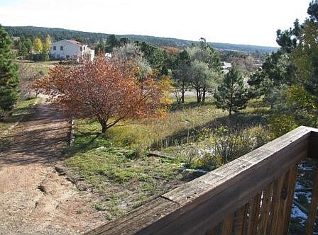 View Toward the East