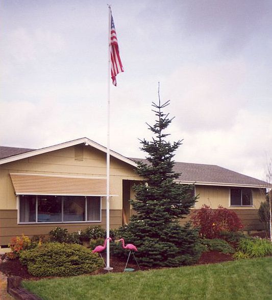 1452 Raydean