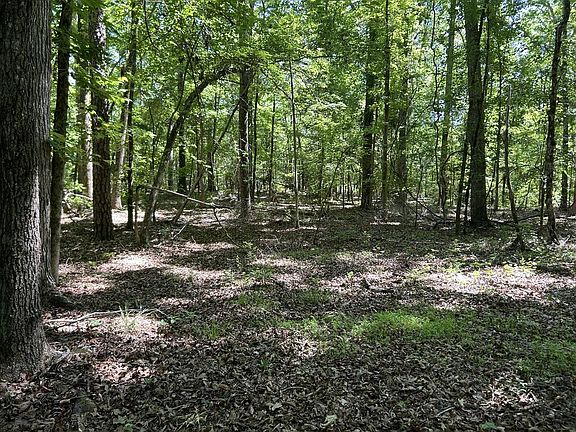 3rd image of 143 Terrapin Pointe Rd