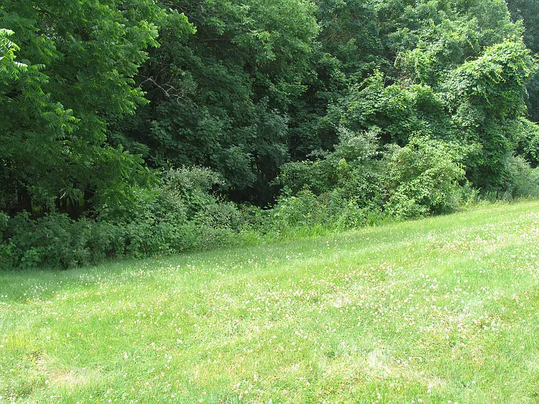 2812 River Willow Dr — Photo 36