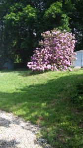 45 River St, Dalton, MA, 01226