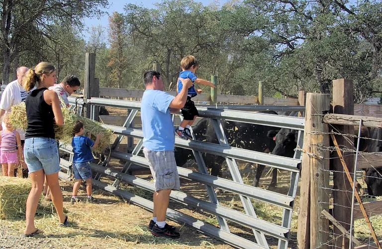 Perfect place to raise kids.