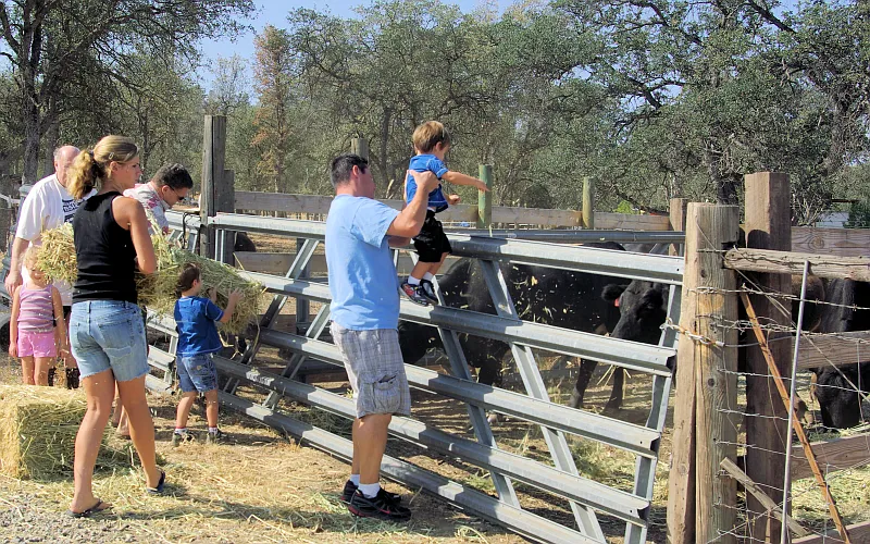 Perfect place to raise kids. - 26178 Whispering Oak Ln