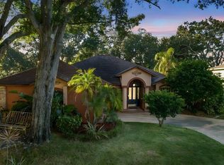 16502 Cayman Dr, Tampa, FL 33624