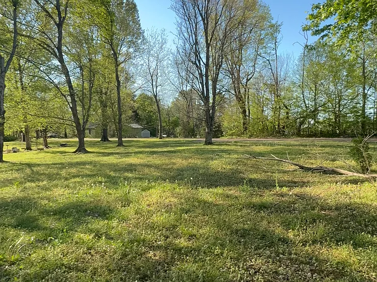 50 Mattie Ann Ln — Photo 10