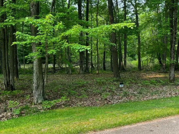Towering Oaks Dr, Pt Austin, MI 48467