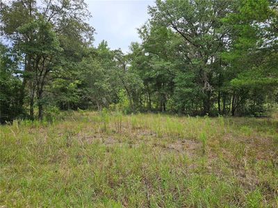 921 NE 148th Ct LOT 25, Williston, FL, 32696
