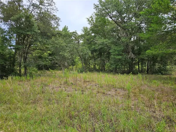 921 NE 148th Ct Lot 25, Williston, FL 32696