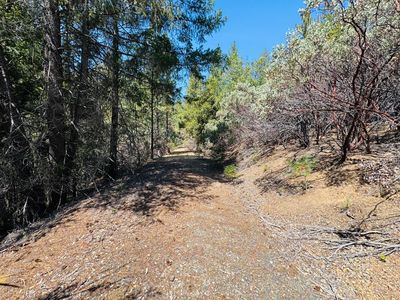 22588 Canyon Way, Colfax, CA, 95713