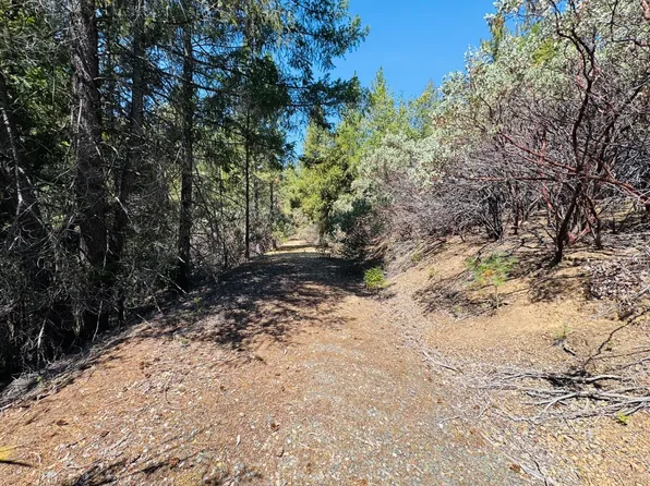 22588 Canyon Way, Colfax, CA 95713