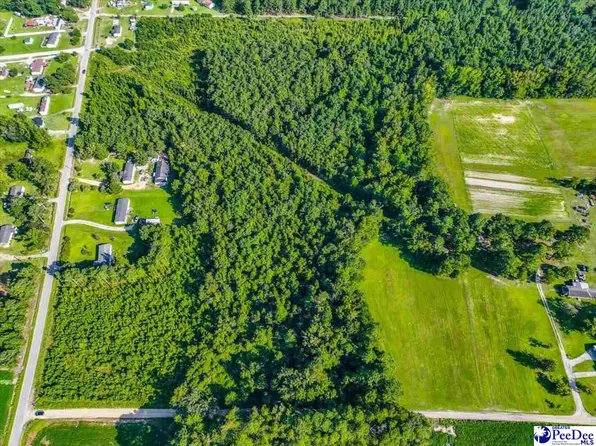 Runabout Rd Lot 10, Mullins, SC 29574