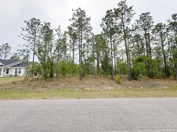 NE 150th Ave Lot 10, Williston, FL 32696