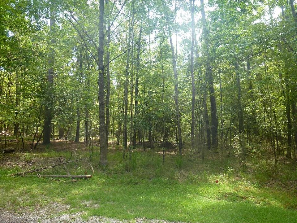1st image of 66 S Pine Harbour Dr