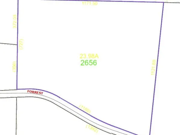 0 Forrest Rd, Westfield, NC 27053