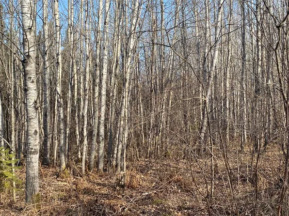 Near Jackson Road, Lake Nebagamon, WI 54849
