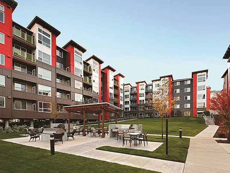 Outdoor Patio and BBQ Grills