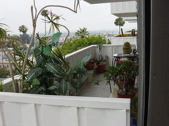 Balcony w/ 180* View