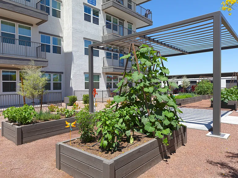 Mera Westgate 55+ Active Adult — Photo 13