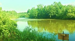 1st image of 436 Highway 107