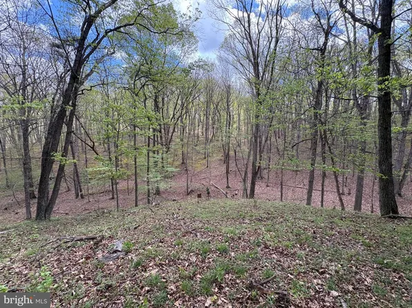 Beam Rd, Romney, WV 26757