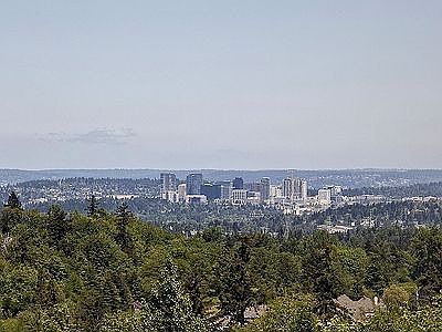 View of Bellevue