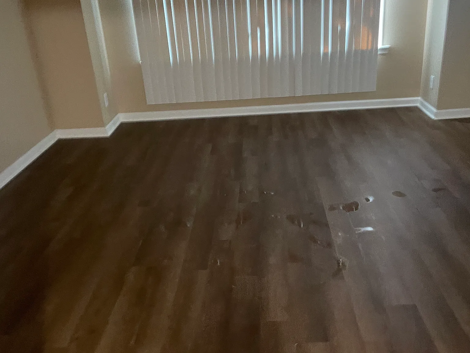 2 bed, 1000 sqft, $1,500 — Photo 4